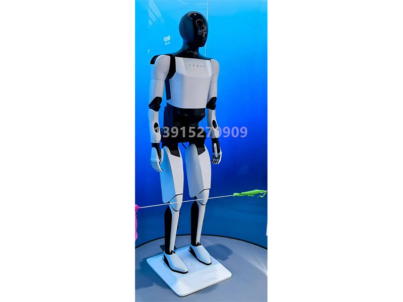 机器人模型